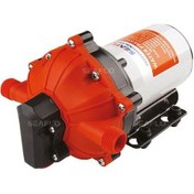 Resim Seaflo Hidrofor 18.90 Lt-Dk 24 V 60 Psi 