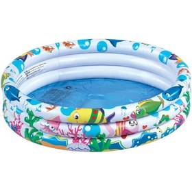 Resim A818 Balık Desenli Havuz 91 25 Cm Çok Renkli 