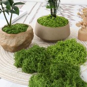 Resim Gerçekçi Yapay Yosun Paketi 100g - Canlı Yeşil Plastik Bitkiler DIY Teraryumlar için, Dış Mekan Bahçe Dekoru ve Ev Aksesuarları, DIY Teraryum Dekorasyonu | Yaratıcı Peyzajlama | Çok Yönlü Dekor Malzemesi 