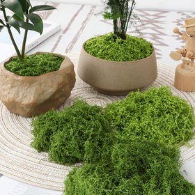 Resim Gerçekçi Yapay Yosun Paketi 100g - Canlı Yeşil Plastik Bitkiler DIY Teraryumlar için, Dış Mekan Bahçe Dekoru ve Ev Aksesuarları, DIY Teraryum Dekorasyonu | Yaratıcı Peyzajlama | Çok Yönlü Dekor Malzemesi 
