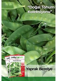 Resim 40 Adet Yerli Ata Yaprak Bezelye Tohumu 