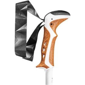 Resim Leki Jannu Yürüyüş Batonu Çok Renkli 