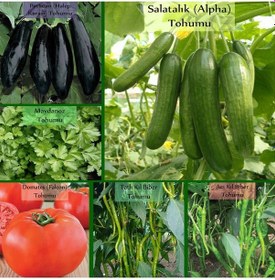 Resim 6 Paket Tohum No9 Halep Karası Patlıcan Tohumu Salatalık Domates Tatlı Acı Kıl Biber Maydanoz Tohumu 1 Set 