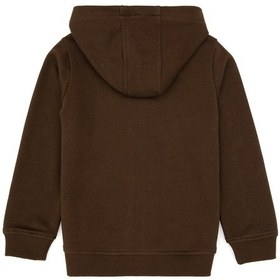 Resim U.S. Polo Assn. Erkek Çocuk Kahverengi Fermuarlı Kapüşonlu Sweatshirt 50316706-VR029 