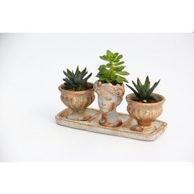 Resim TRİO HELEN ORANGE SUKULENT SETİ - Haworthia Pumila, Echeveria 