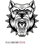 Resim Motorsiklet Otomobil Sticker 2 Adet 104 