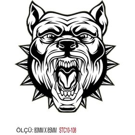 Resim Motorsiklet Otomobil Sticker 2 Adet 104 