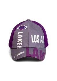 Resim Gri Los Angeles Lakers Basketbol Beyzbol Şapkası - Standart Gri 