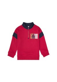 Resim U.s. Polo Assn. Erkek Çocuk Sweatshirt 50316610-vr104 Koyu Frambuaz/dark Raspberry 