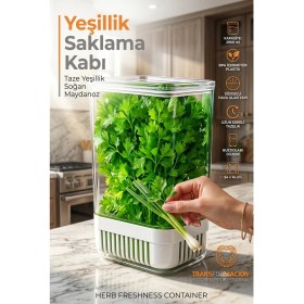 Resim Yeşillik Saklama Kabı - Taze Yeşillik Için - Soğan Maydanoz Vb Yeşillik Saklama 721958 