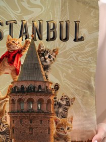 Resim Çınar Bez Çanta Bagg 3D İstanbul Kedili Baskılı Bez Çanta - Standart / Standart 