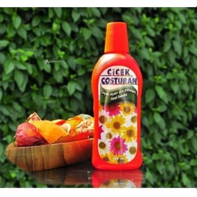 Resim Çiçek Coşturan Çiçek Açan Süs Bitkileri İçin 