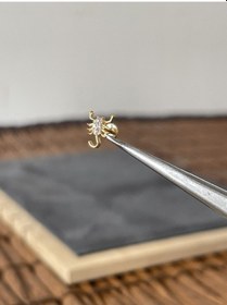 Resim Yüksek Kalite G23 Akrep Zirkon Altın Titanyum 6 X 1.2 MM Labret Piercing Altın 