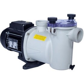 Resim Kripsol Ninfa-Nk 1/3 Hp Monofaze Kendinden Emişli Havuz Pompası 