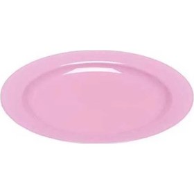 Resim Plastik Pembe Tabak 19 Cm - 10 Adet 