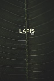 Resim Lapis Bathmat 202 - 2 Adet 50x75 cm Premium Ayak Havlusu - Taş 