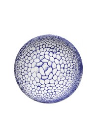 Resim Kütahya Porselen Nano Zeugma 24 Parça Yemek Seti Dg300 