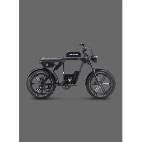 Resim Ape Ryder Baboon Elektrikli Bisiklet 