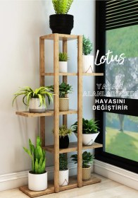 Resim Lotus Ahşap 5 Katlı Çiçeklik, Saksılık, Çiçek Standı, Dekoratif Raf / Çok Amaçlı Kullanım Atlantik Çam 