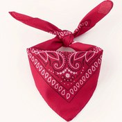 Resim Kadınların Klasik Paisley Desenli Polyester Retro Moda Ter Emici Bandana Başbandı Mendil 