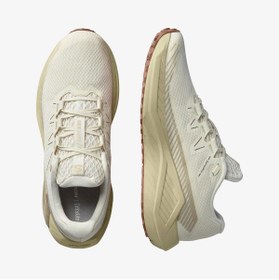 Resim Salomon DRX DEFY GRVL Koşu Ayakkabısı Vanilla Ice L47809600 | Unisex 