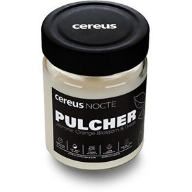 Resim Cereus Nocte Pulcher Yasemin Kokulu Soya Mum 210 G 