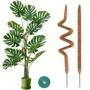Resim 2 adet 47 inç (yaklaşık 120 cm) bükülebilir sarma çubuğu tırmanma iç mekan bitkileri için destek - yüksek bitkiler için saksı merdiveni - saksılı bitkiler için yüksek riskli iç mekan dizisi rafı - çiçek saksı aksesuarları 