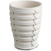 Resim Primanova Palm Diş Fırçalık Bej 