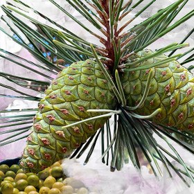 Resim Gypsy Water 30ML El Kremi 