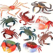 Resim Deniz yaşamı simülasyon hayvan modeli, katı kırmızı yengeç kum yengeci kral yengeci örümcek yengeci çocuk oyuncak, yengeç hareketli oyuncak bebek eğitim serisi çocuk hediyesi 