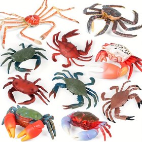 Resim Deniz yaşamı simülasyon hayvan modeli, katı kırmızı yengeç kum yengeci kral yengeci örümcek yengeci çocuk oyuncak, yengeç hareketli oyuncak bebek eğitim serisi çocuk hediyesi 
