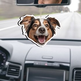 Resim Kedi ve Köpeğinize Özel Araba Ayna Süsü 