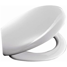 Resim Abs Klozet Kapağı Kelebek Akdeniz Modeli 