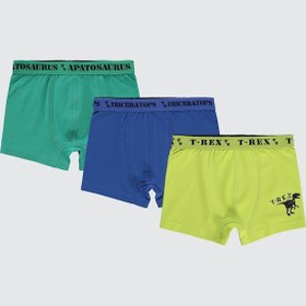Resim Civil Boys Erkek Çocuk 3'lü Boxer Set 2-10 Yaş Yeşil 