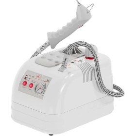 Resim Silter Goldental Buharlı Temizleme Robotu Gld Mn 2004 2 Litre 