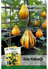 Resim Süs Bitki Kabak Çiçek Tohumu 10 Adet 