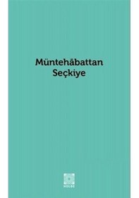 Resim Müntehabattan Seçkiye - Sinan Uluant - Hülbe Yayınları 
