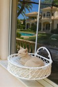 Resim Tasaryum Kedi ve Köpek El Örgüsü Vantuzlu Cam Yatağı Hamak Beyaz 