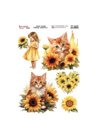 Resim Pirinç Dekopaj Kağıdı 30x42cm Pt-1448 