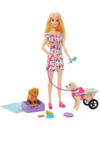 Resim Barbie ve Engelli Köpeği Oyun Seti HTK37 