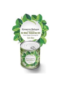 Resim Büro Ev Yazlık İçin Tatlı Sivri Konservede Yetiştirme Tohum Kiti 