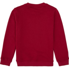 Resim U.s. Polo Assn. Erkek Çocuk Sweatshirt 50316510-vr104 Koyu Frambuaz/dark Raspberry 