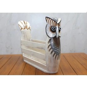 Resim Ahşap Baykuş Gazetelik 