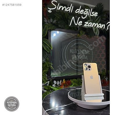 Altın