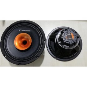 Resim 20 cm Fx-Hrn Profosyonel Midrange 