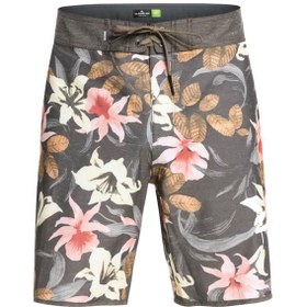 Resim HEMPSTRETCH SCALLOP 19 