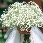 Resim 1380 Çiçek, 46 Çiçek Topu Sahte Gypsophila, Gerçekçi Yapay Çiçekler, Gövdeli Simüle Edilmiş Çiçek Düzenlemesi, Antienflamatuar Özellikleri, Ev ve Dış Mekan Dekoru İçin İdeal, DIY Bahçe Projeleri, Ofis Çiçek Gösterileri, Bahar Dekorasyonları, Düğünler, Doğum Günleri, Sevgililer Günü, Gelin Partileri, Işık Festivalleri ve Şükran Günü Düzenlemeleri İçin Mükemmel, Kapak Sağlanmamıştır. 