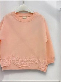 Resim Kız Çocuk Kelebek İşlemeli Sweatshirt-14229 Pudra 