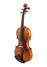 Resim Bardsen Bv44Elıte 4/4 Keman 