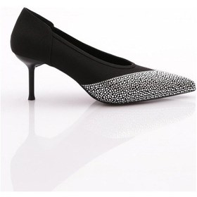 Resim Dgn 1781 Kadin Sivri Burun Topuklu Ayakkabi 1781-2446-R14014 Gümüş - Siyah 